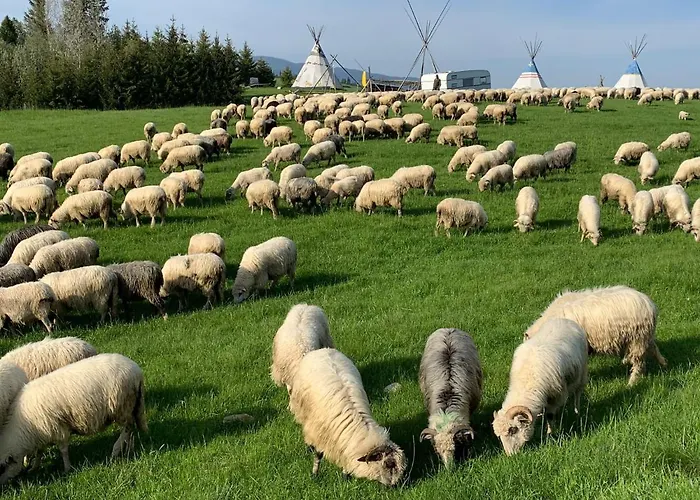 Casa vacanze Sowie - Nad Potokiem Kacwin